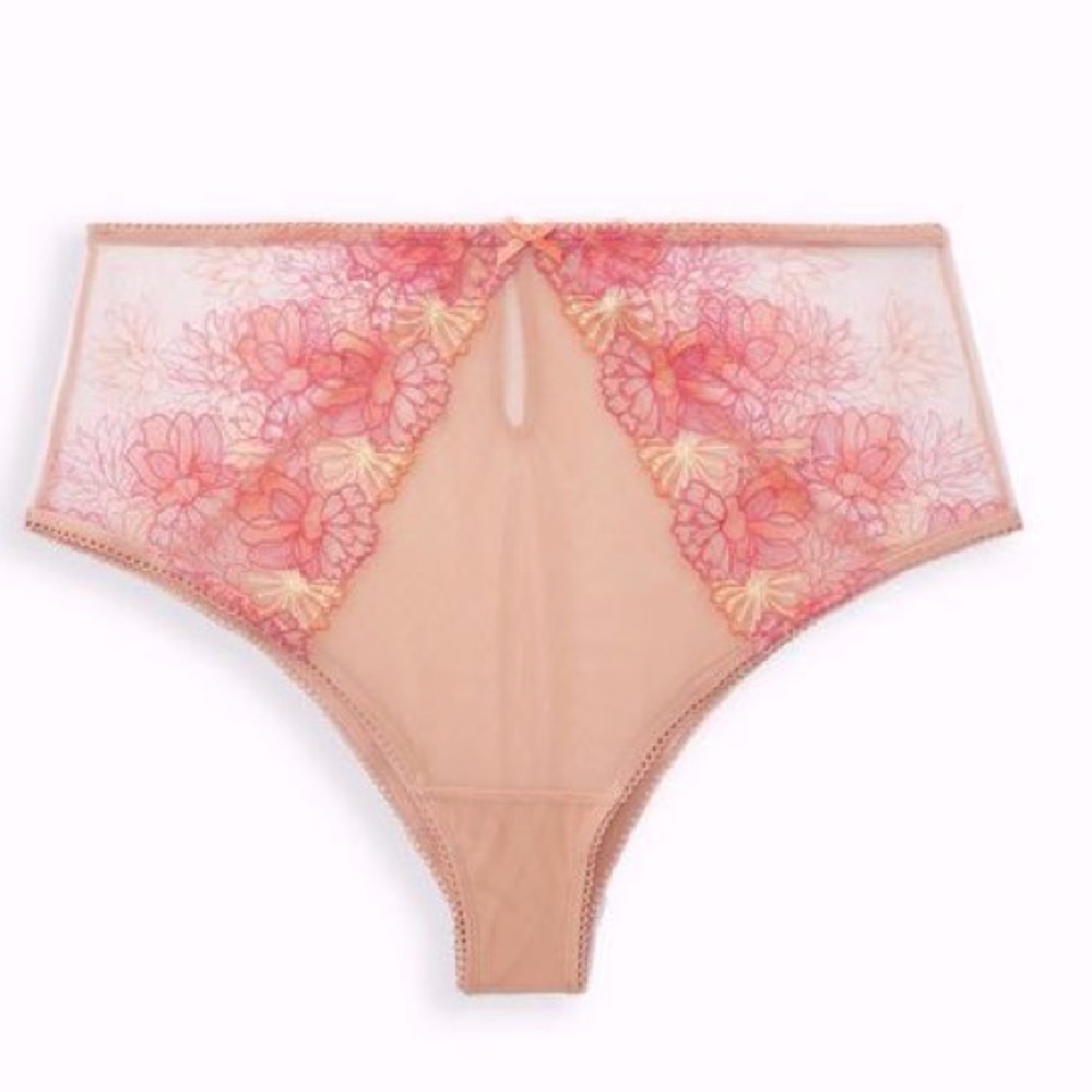 Torrid High Waist Panty - Embroidered Mesh Dusty Rose 1X EUC